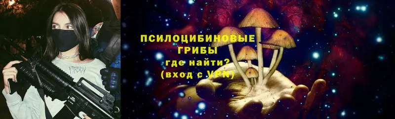 Псилоцибиновые грибы Psilocybe  Покачи 